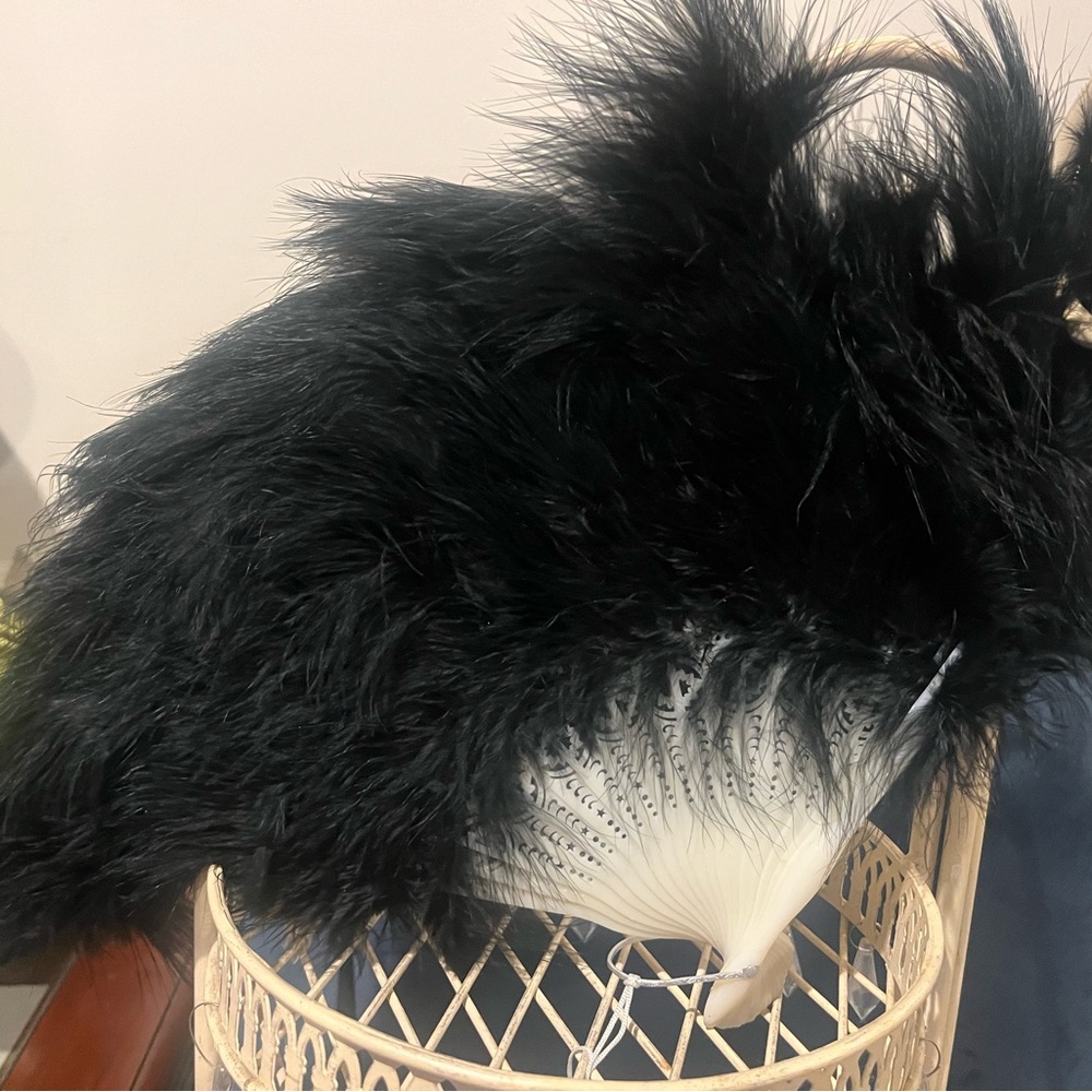 Elegant Black Feather Fan